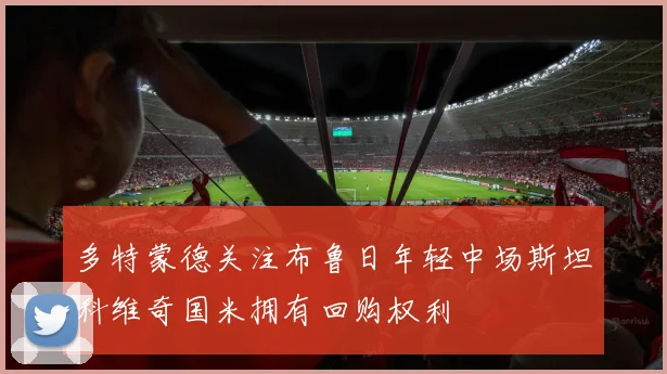 多特蒙德关注布鲁日年轻中场斯坦科维奇国米拥有回购权利
