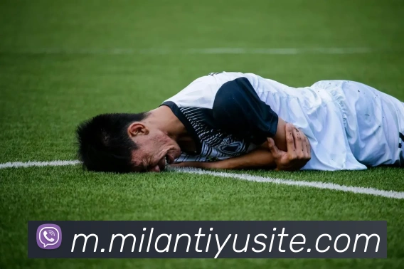 米兰体育平台生态图