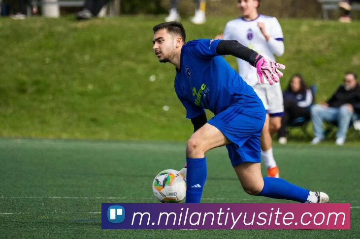 米兰体育APP 封面图